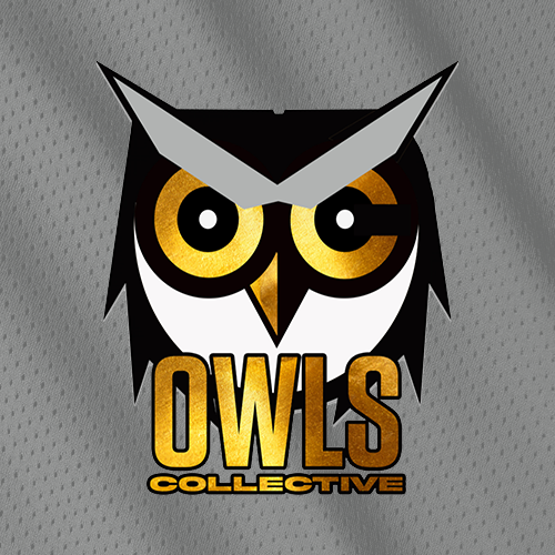 Owls Site Logo